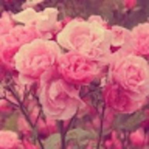 Meet your Posher, Sky